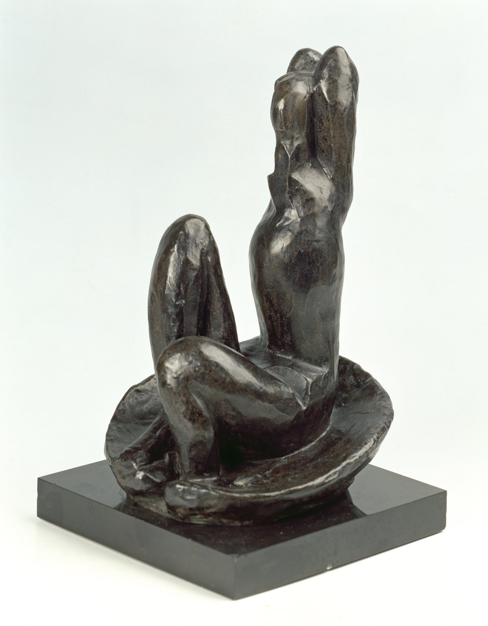 Vénus dans une coquille I - Henri Matisse