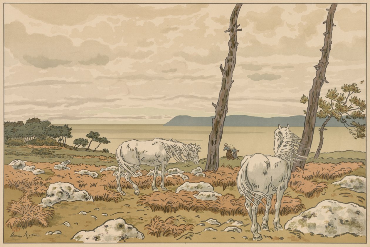 Aspects de la nature : La baie - Henri Rivière