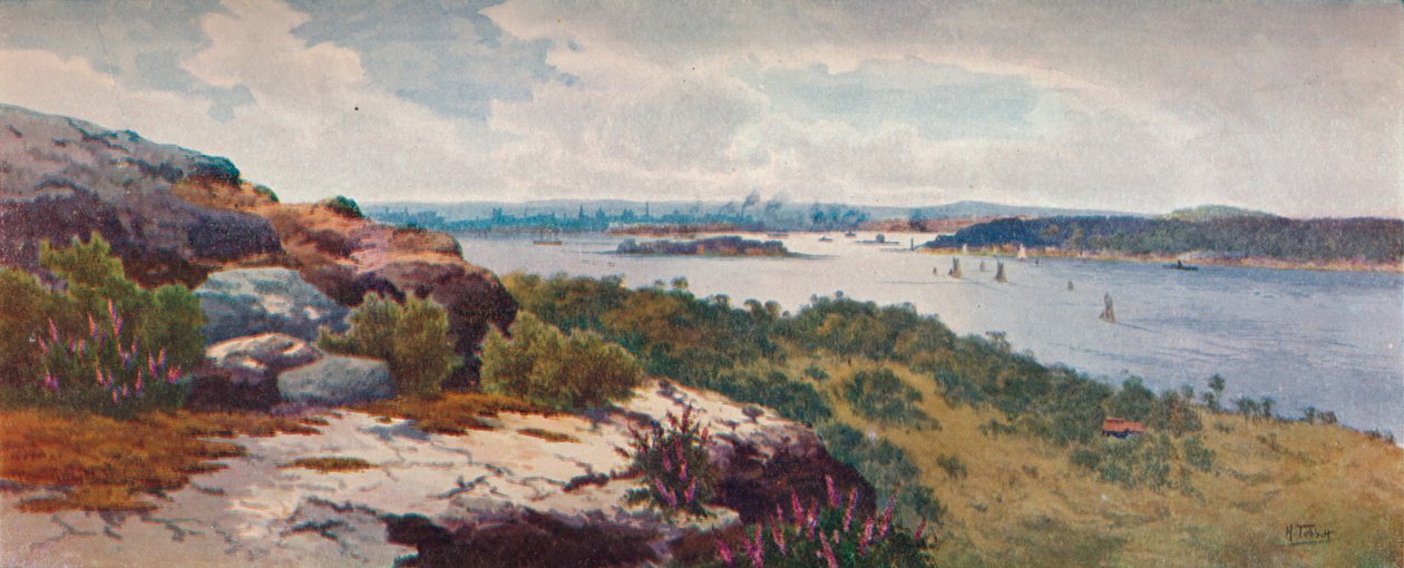 Sydney depuis Vaucluse, vers 1906 - Henri Tebbitt