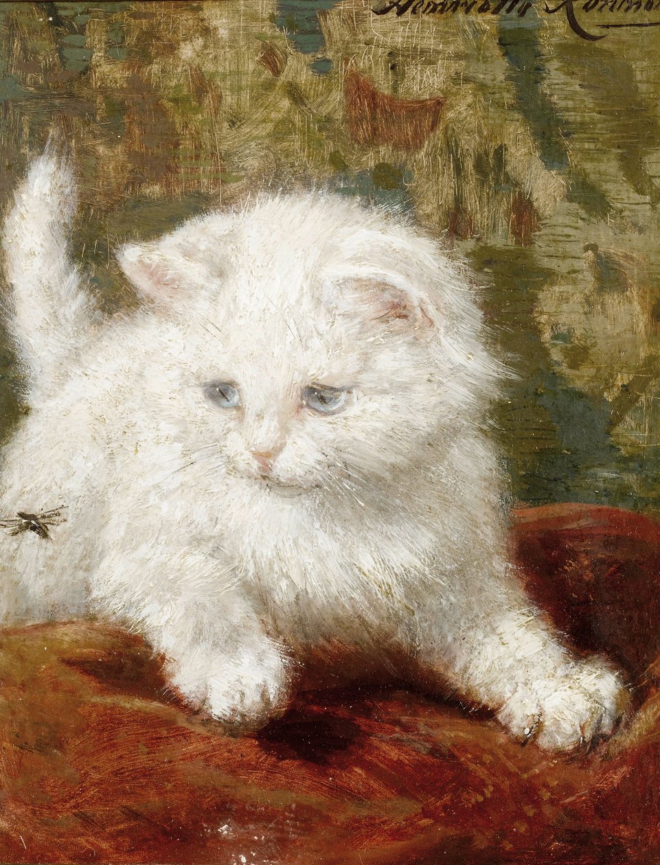 Curiosité - Henriëtte Ronner Knip
