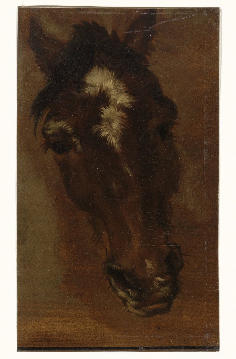 Tête de cheval - Henriëtte Ronner