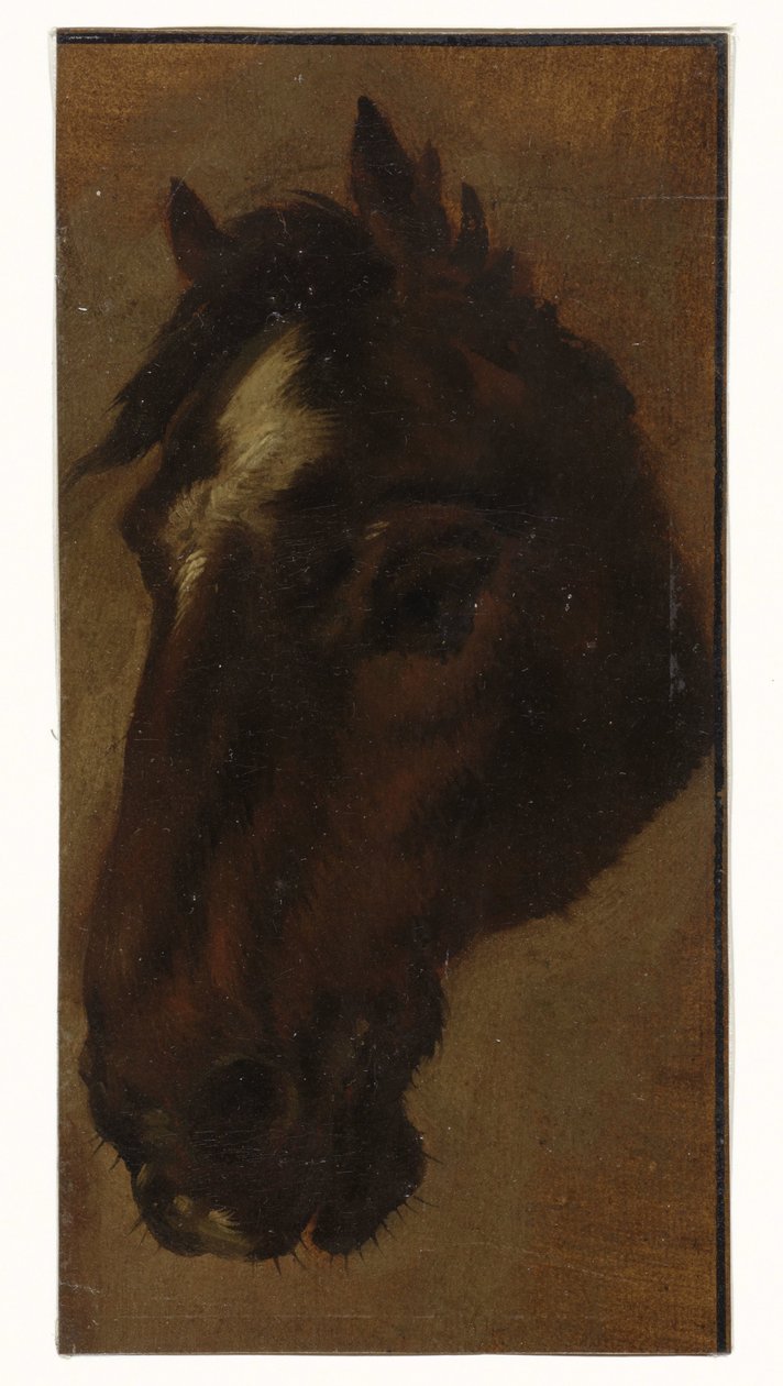 Tête de cheval - Henriëtte Ronner