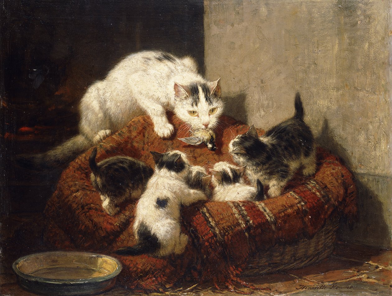 Un cadeau à plumes - Henriëtte Ronner Knip