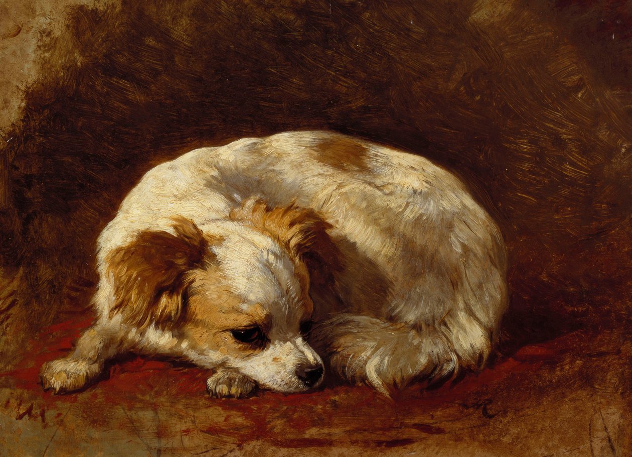 Un papillon - Henriëtte Ronner Knip