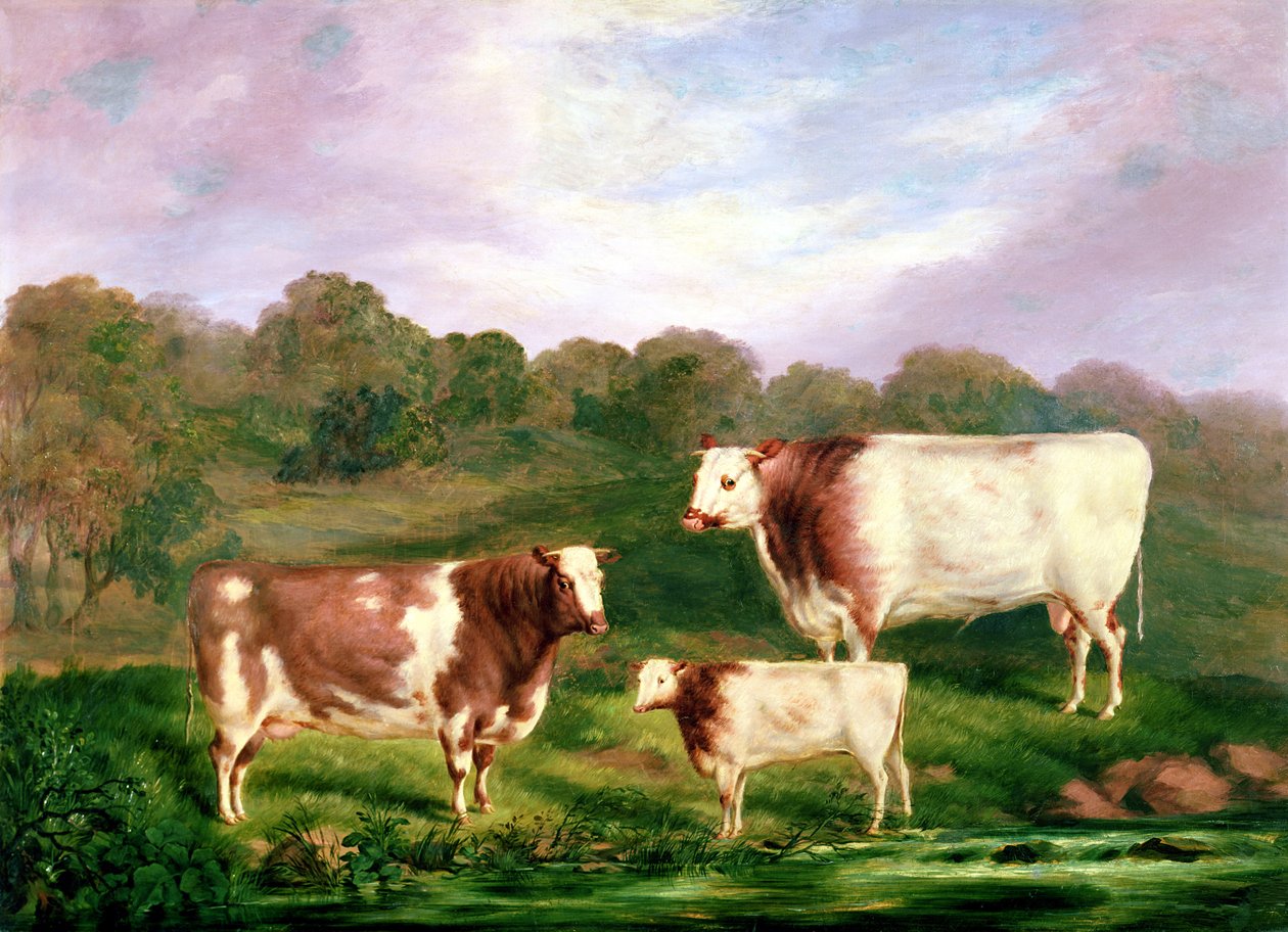 Pédigrées de Towneley - Henry Barraud