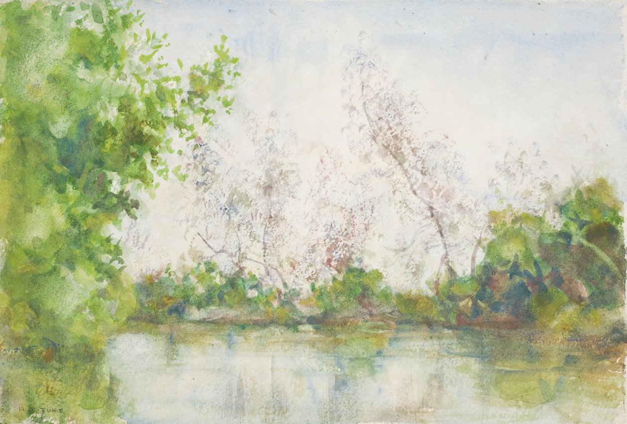 Mangrove, 1924 - Henry Scott Tuke