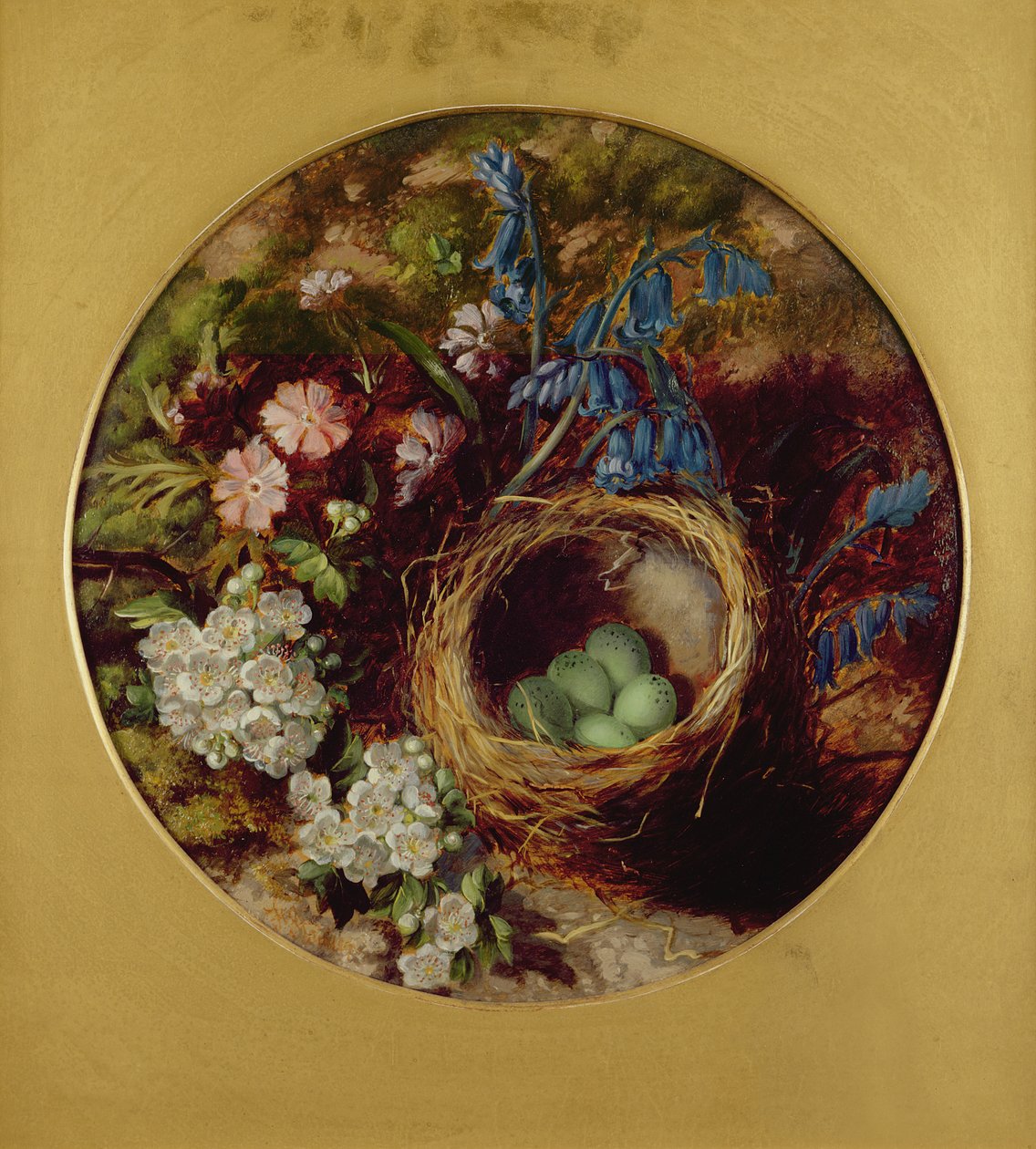 Nature morte avec nid d