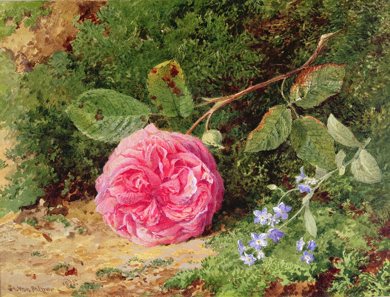 Rose rose sur une berge moussue, 1875 - Henry Sutton Palmer