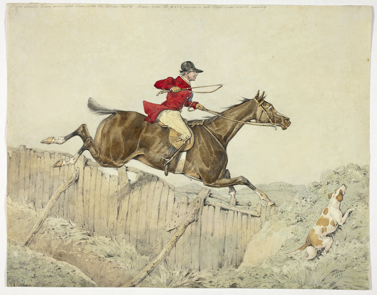 Cavalier à poil rose - Henry Alken