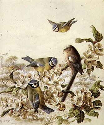 Voleurs de verger - Henry Bright