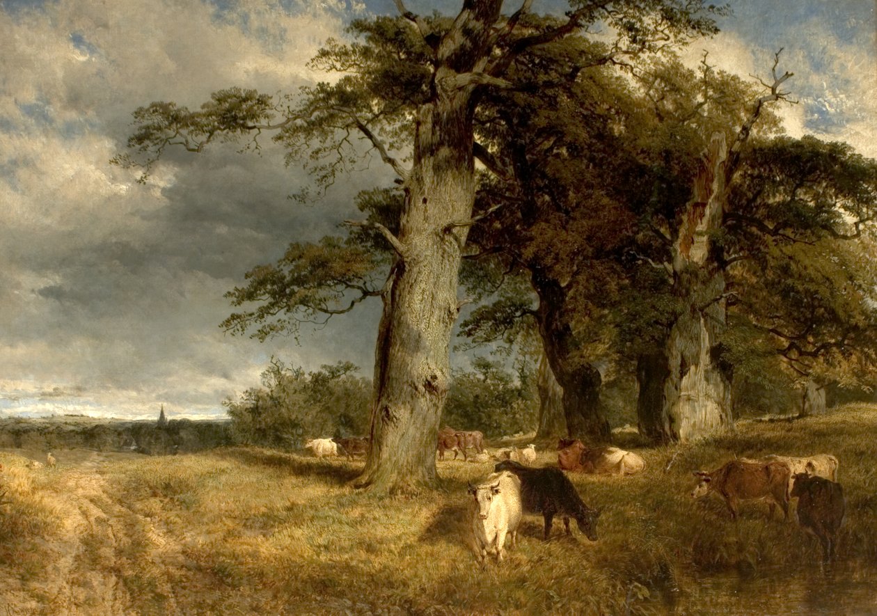 Paysage dans les Dukeries, Nottinghamshire, 1850 - Henry Dawson