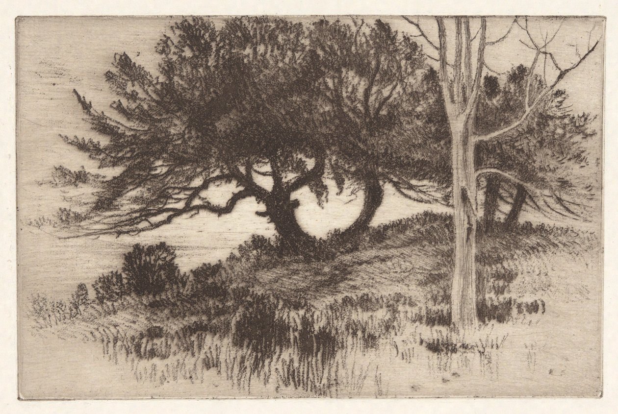 Près de la mer - Henry Farrer
