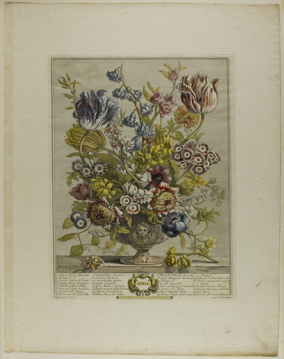 Avril, des Douze mois de fleurs - Henry Fletcher