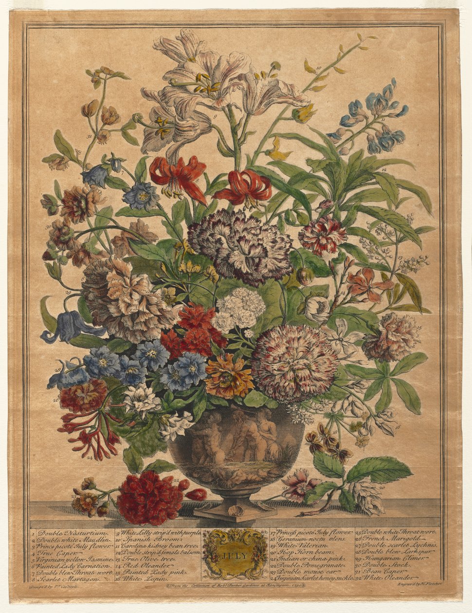 Douze mois de fleurs : Juillet - Henry Fletcher