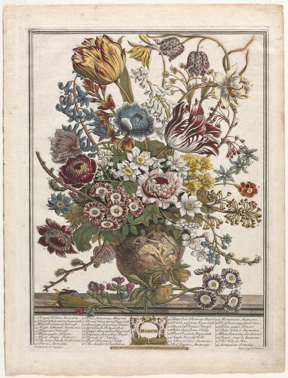 Douze Mois de Fleurs : Mars, 1730 - Henry Fletcher