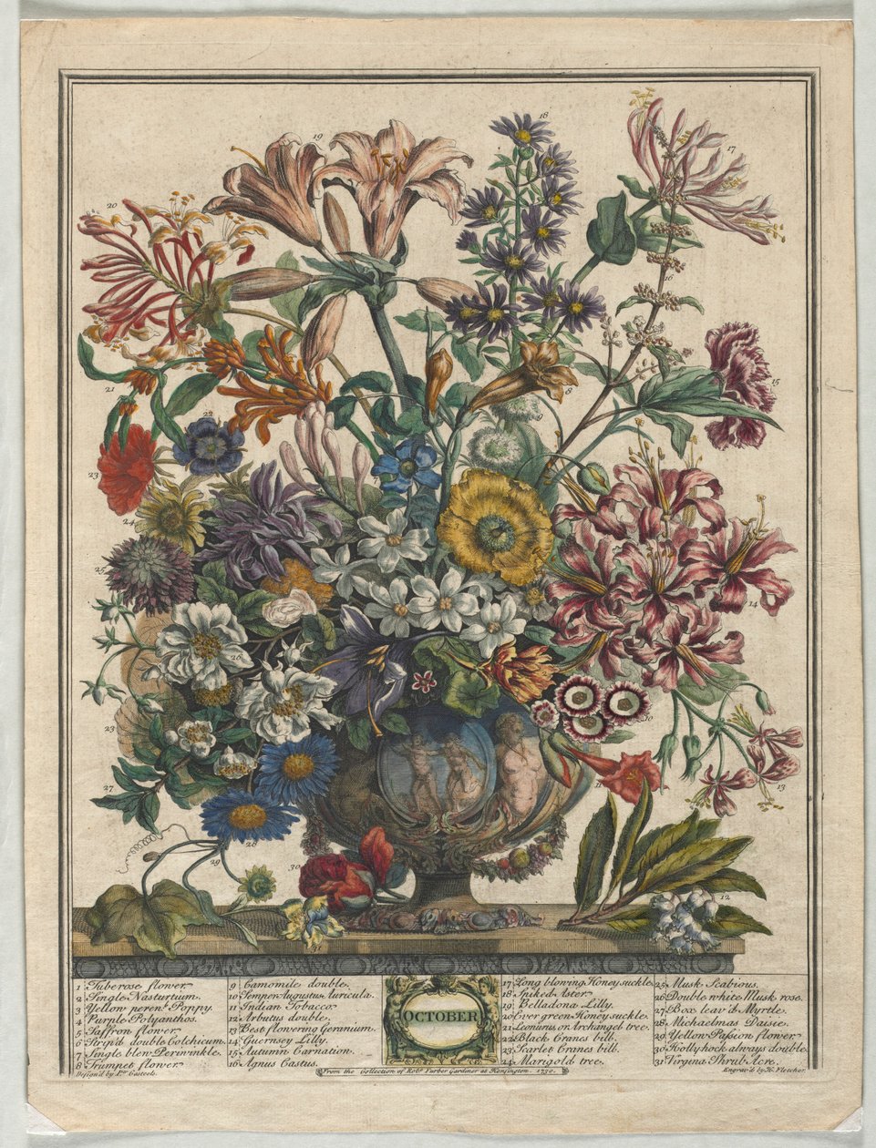 Douze mois de fleurs :  Octobre - Henry Fletcher