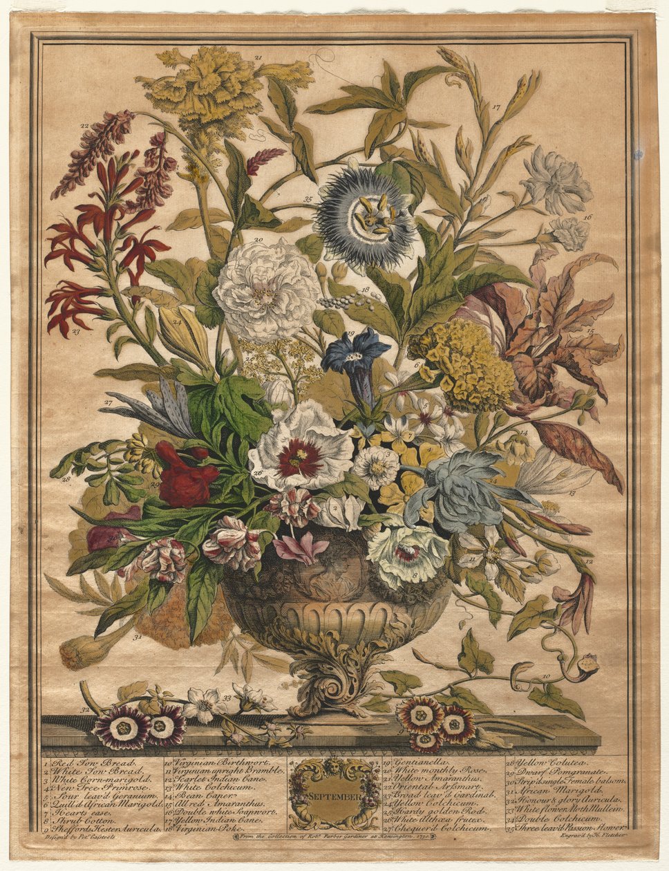 Douze mois de fleurs : Septembre - Henry Fletcher