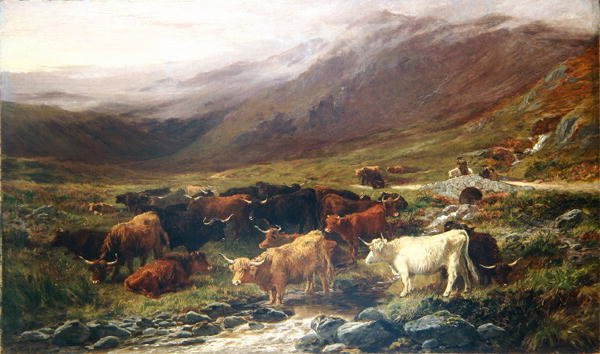 Vaches dans les Highlands - Henry Garland