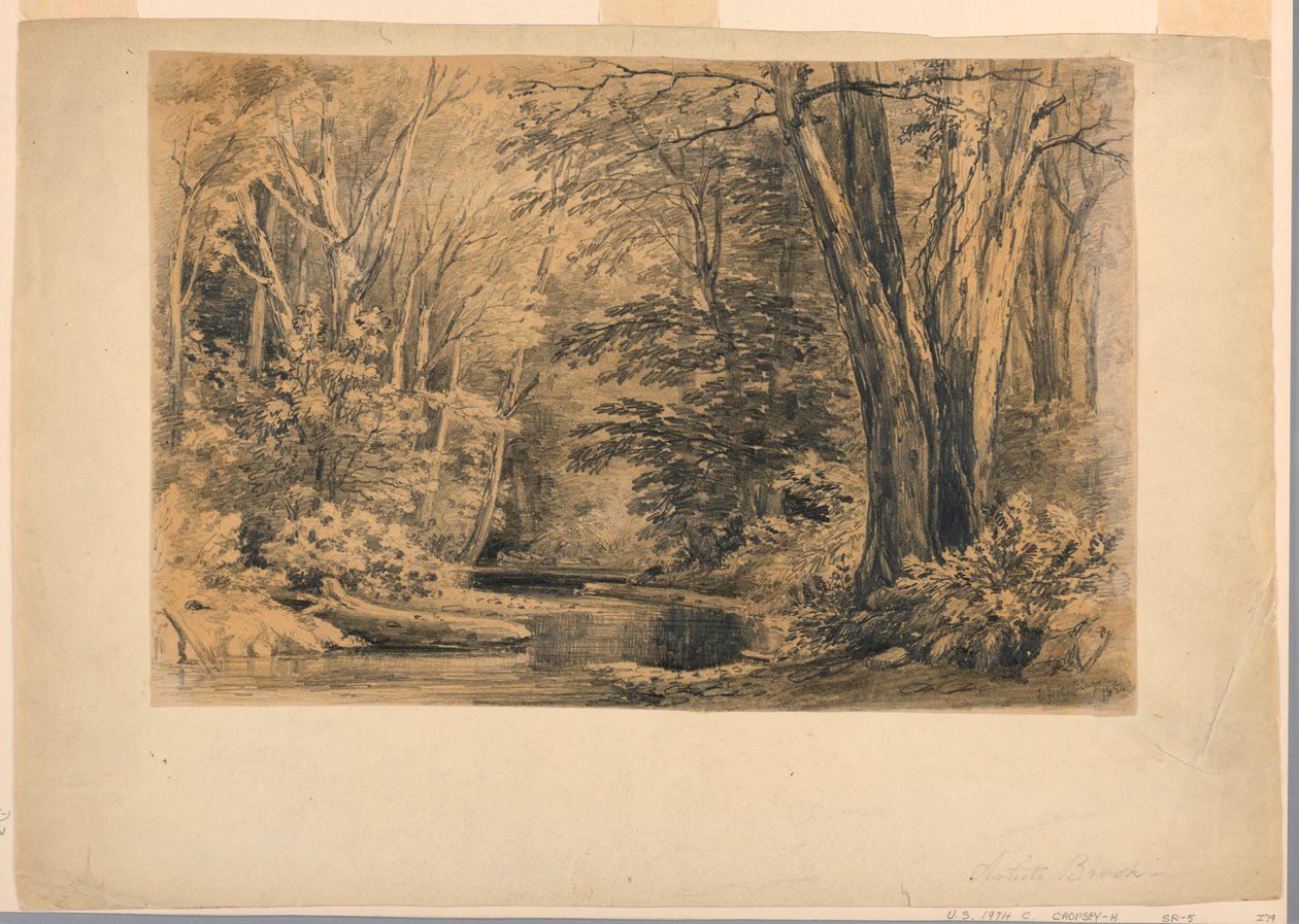 Dessin, Un ruisseau dans les bois, 1854 - Henry Hitchings