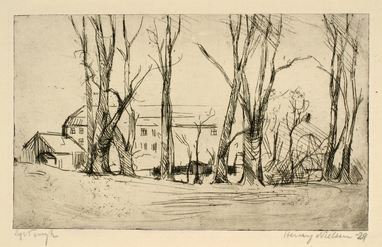 Bâtiment ressemblant à un hôpital vu entre de grands arbres - Henry Nielsen