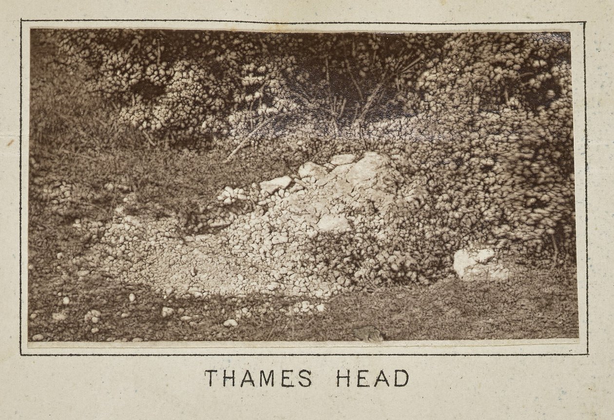 Tête de la Tamise - Henry W. Taunt