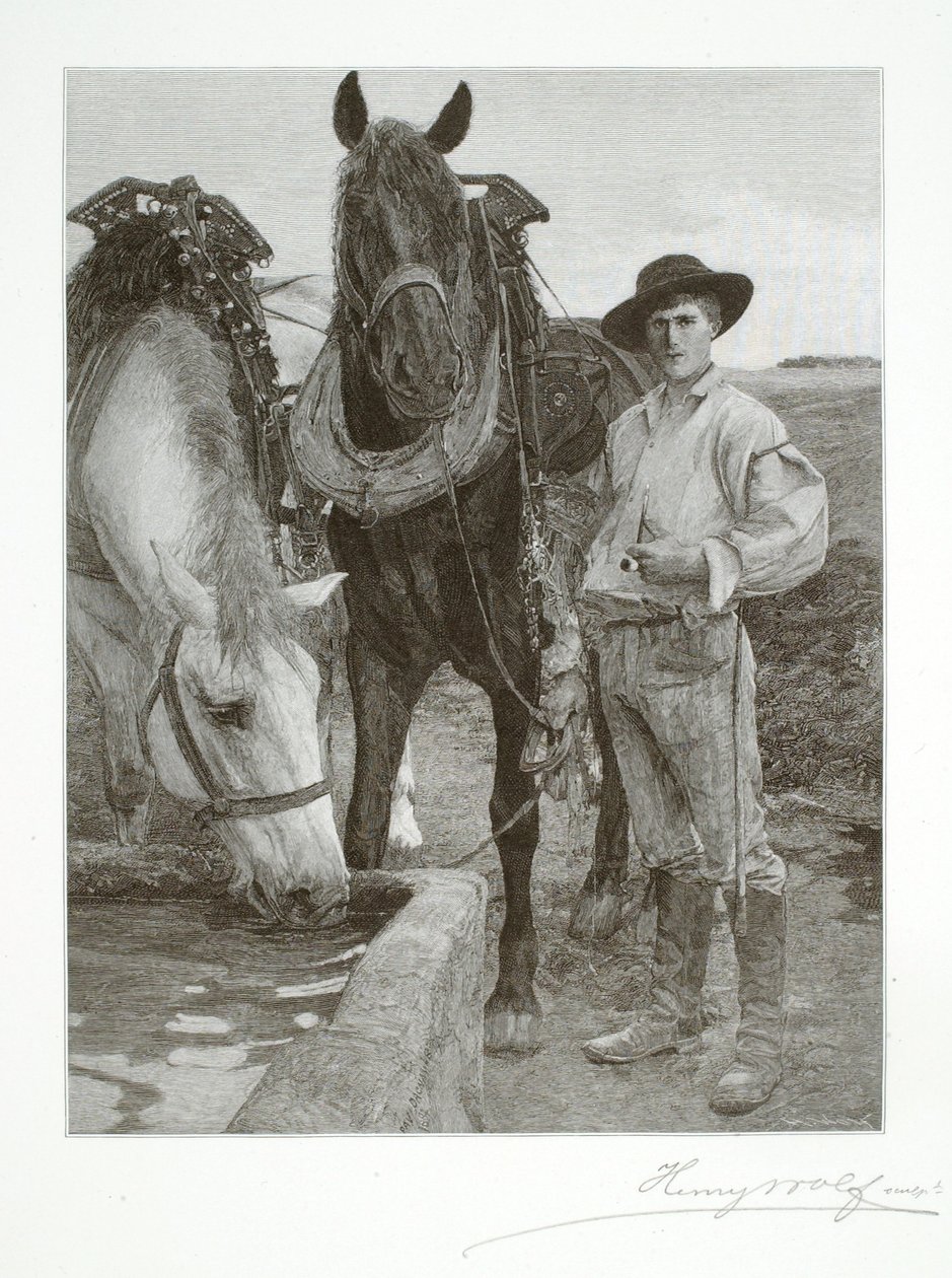 Les chevaux à l