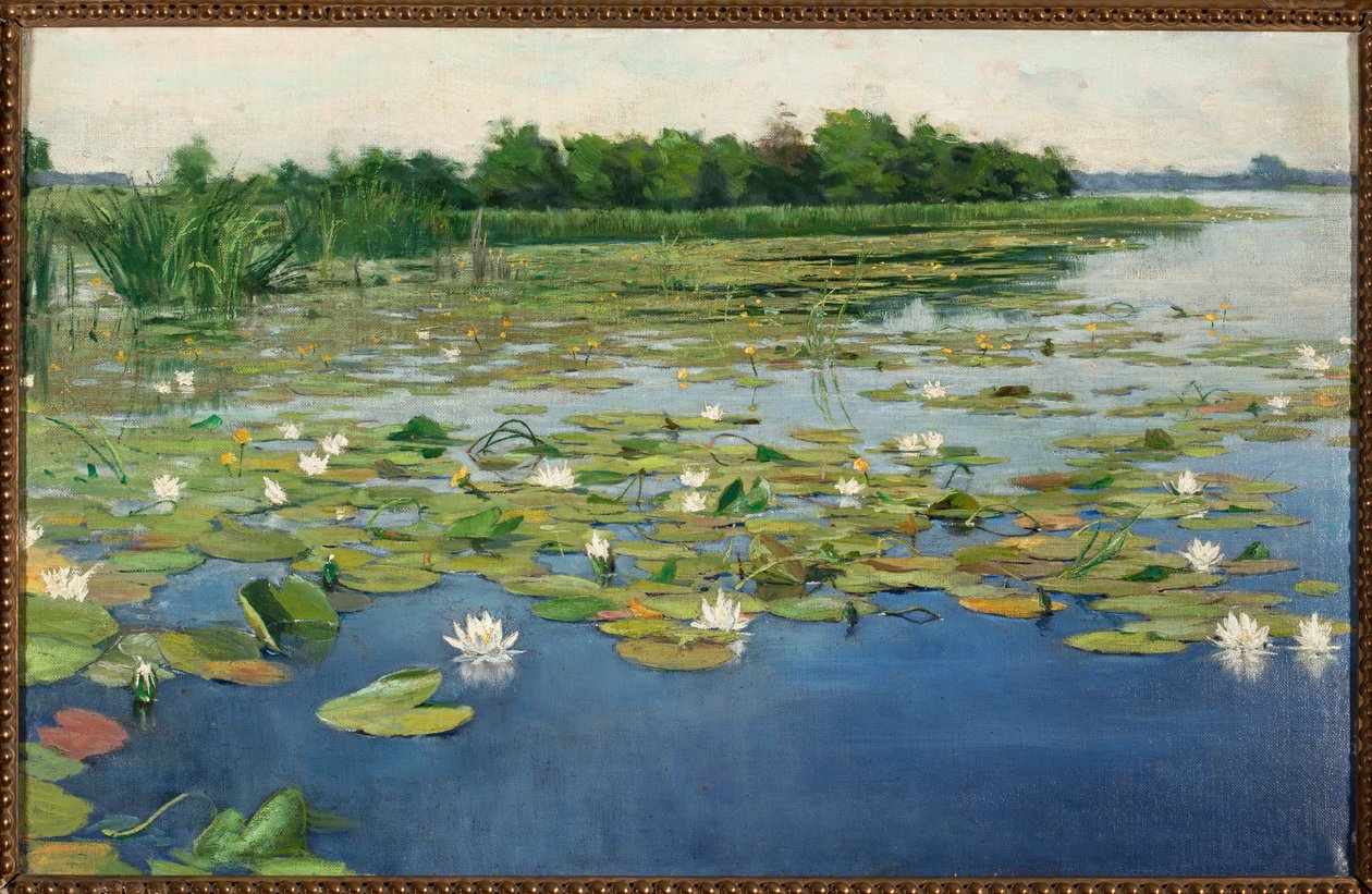 Nénuphars - Henryk Weyssenhoff