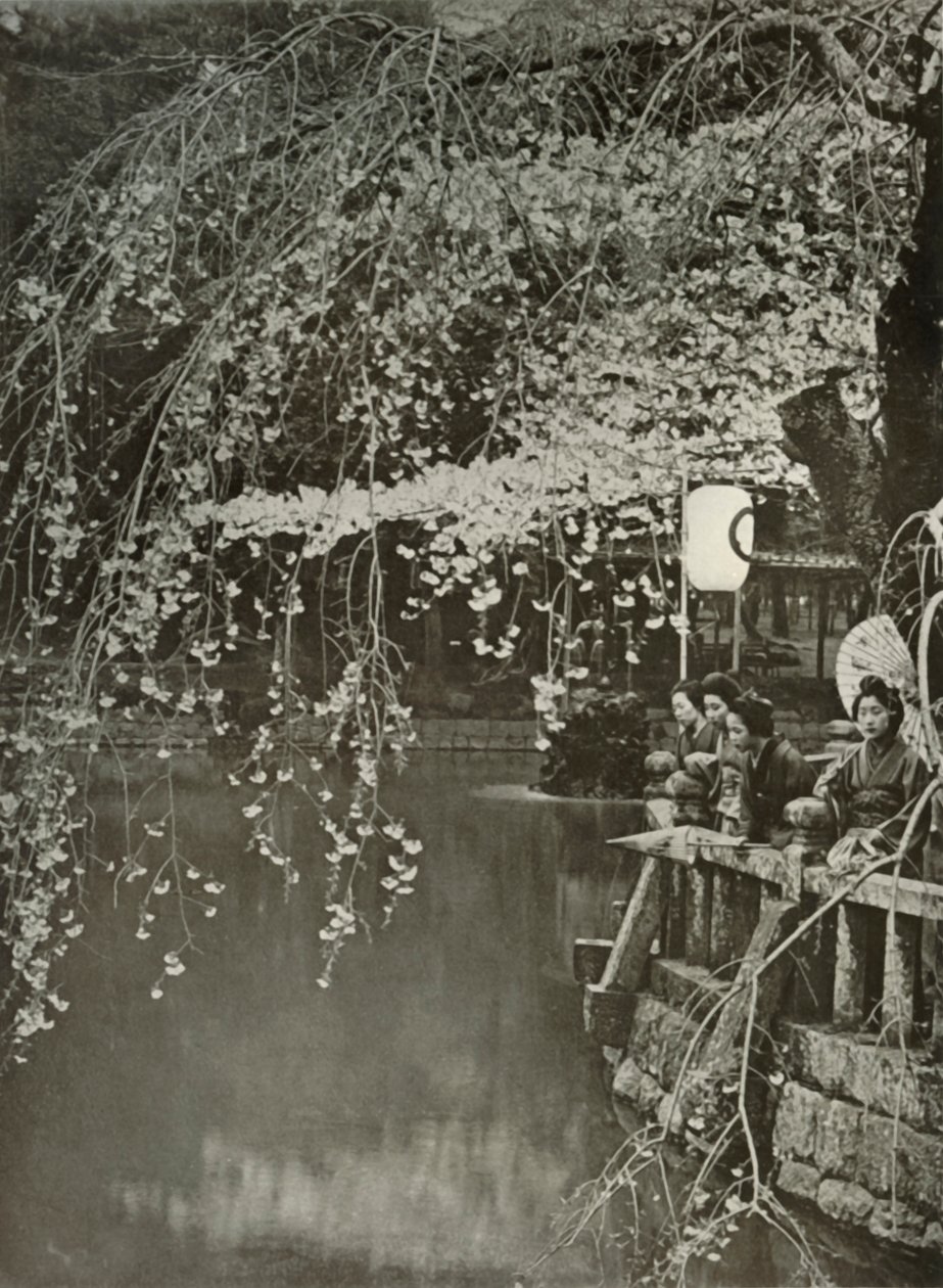 Temps des cerisiers en fleurs au Japon, 1910 - Herbert Ponting