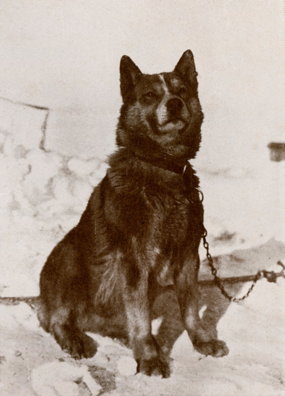 Krisravitsa - Herbert Ponting
