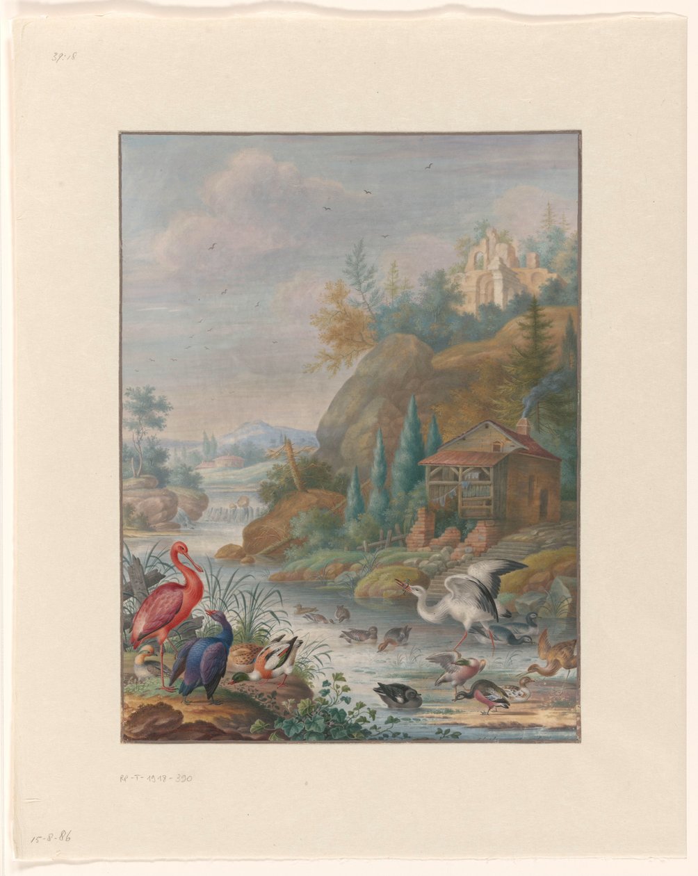 Oiseaux près d