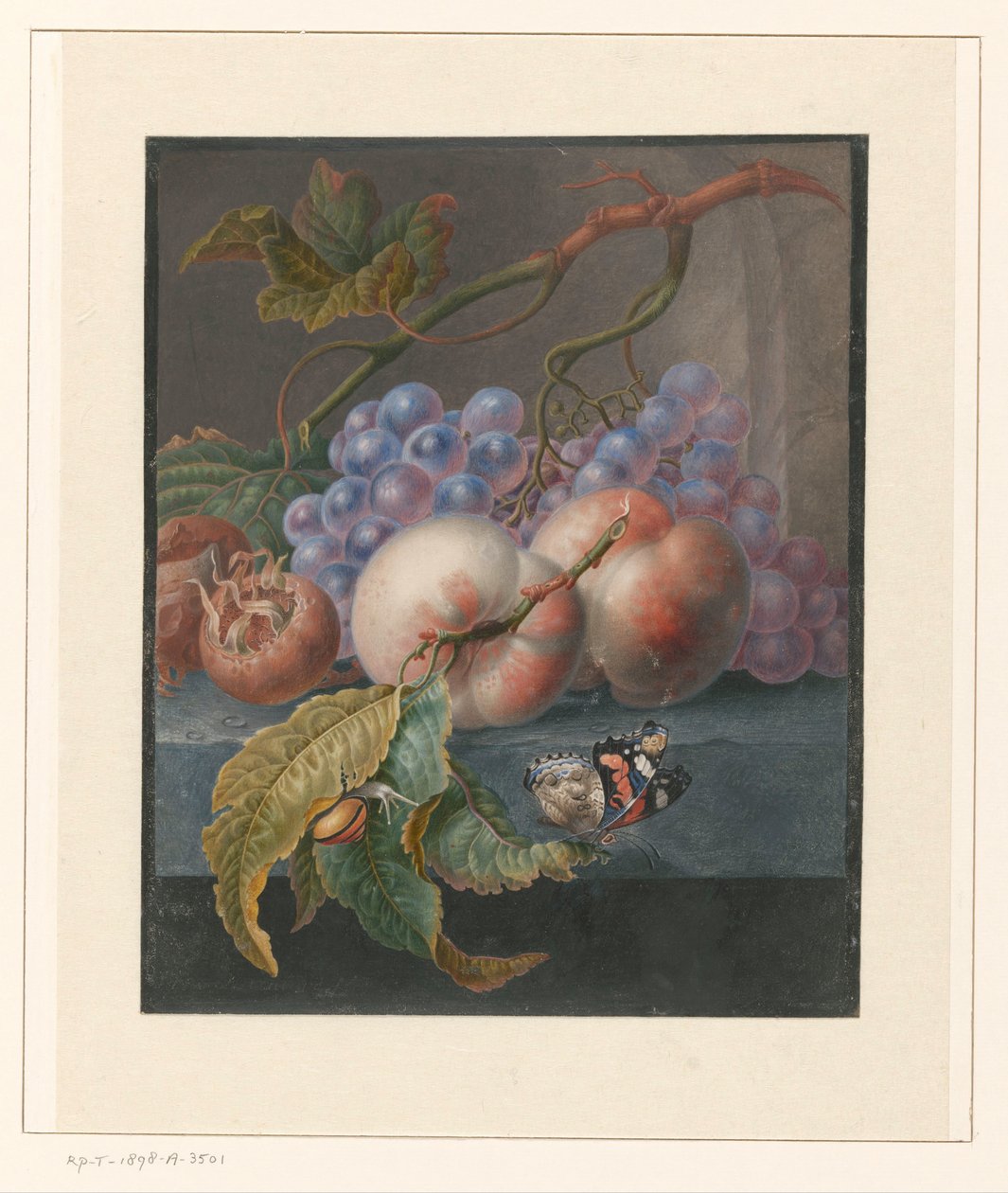 Fruits avec un papillon et un escargot - Herman Henstenburgh