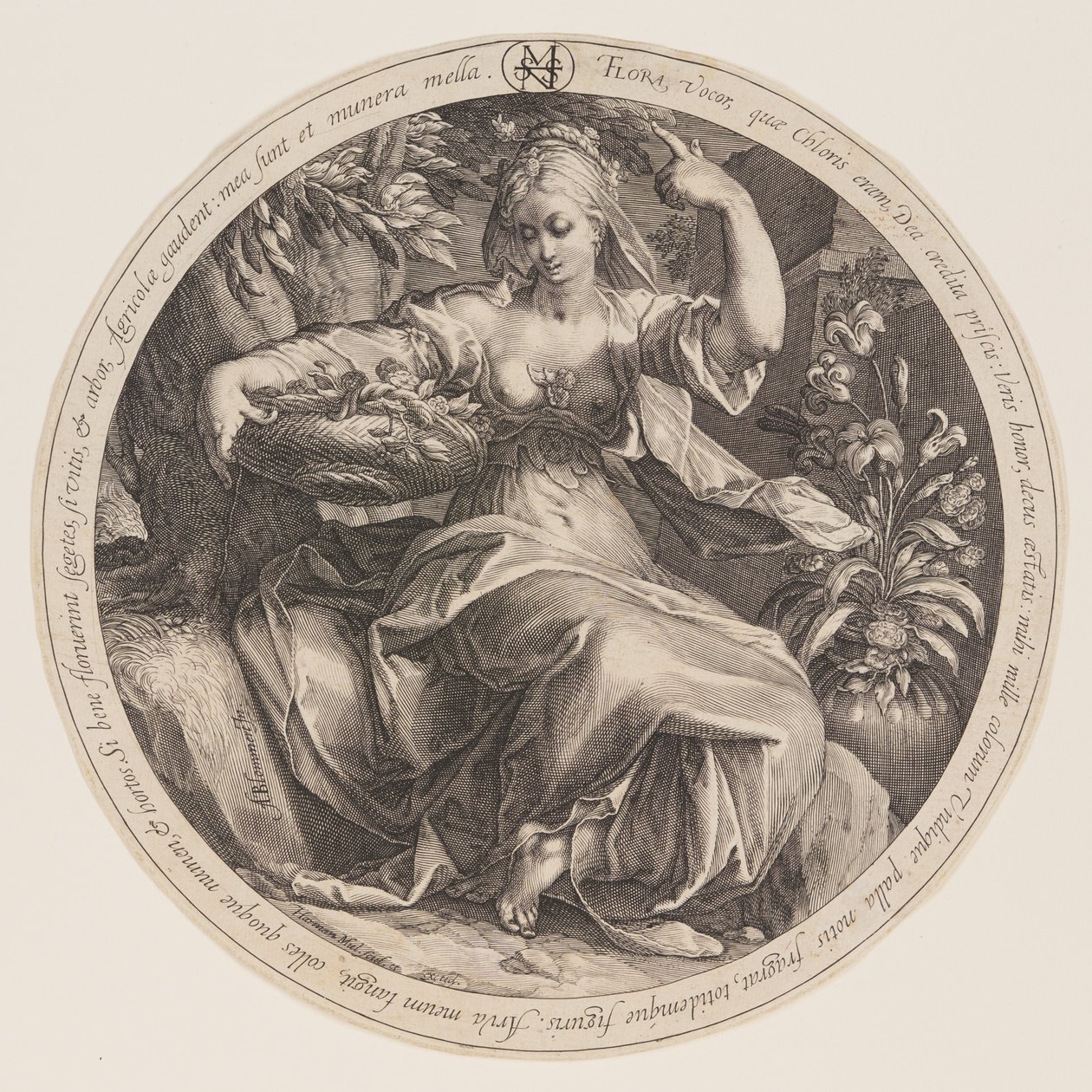 Flore - Herman Jansz. Muller