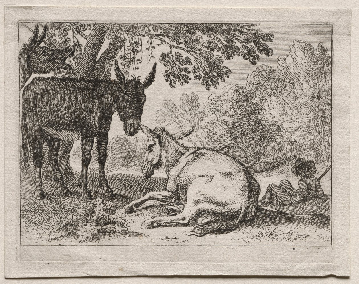 Ânes - Herman van Swanevelt