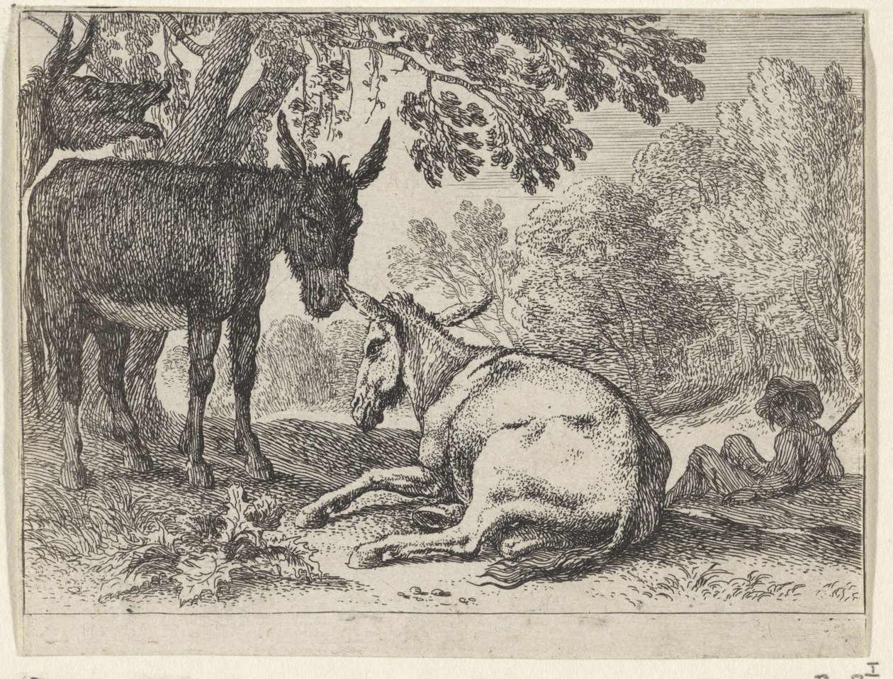 Ânes - Herman van Swanevelt
