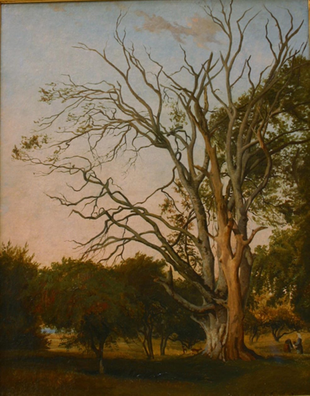 Scène forestière avec un arbre mort - Hermann Carmiencke