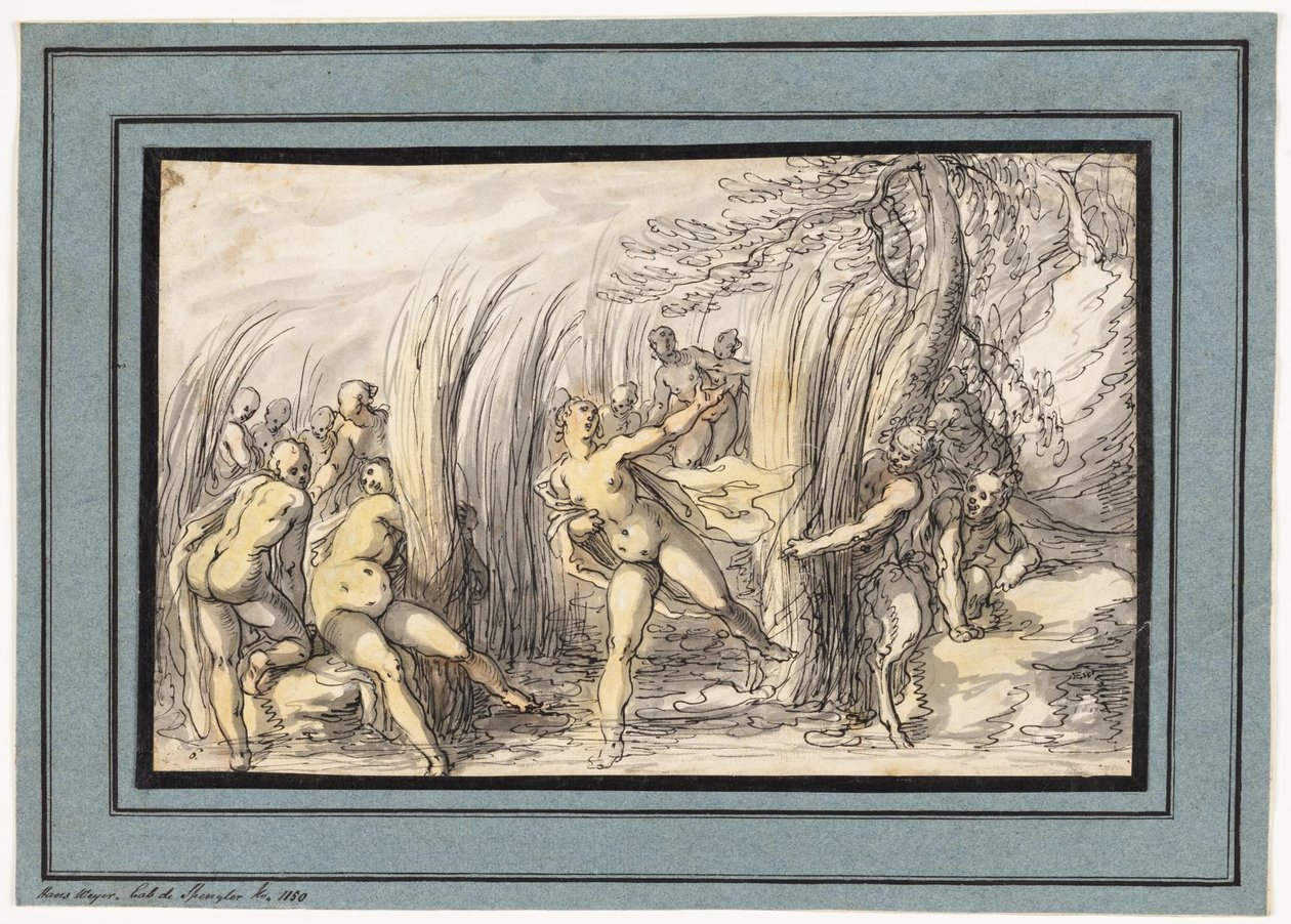 Nymphes chassées par des satyres - Hermann Weyer