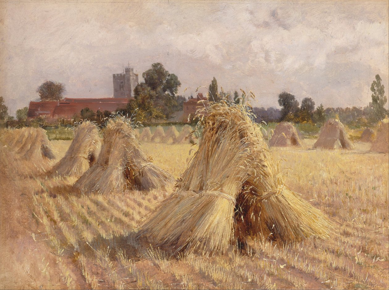 Gerbes de maïs près de l