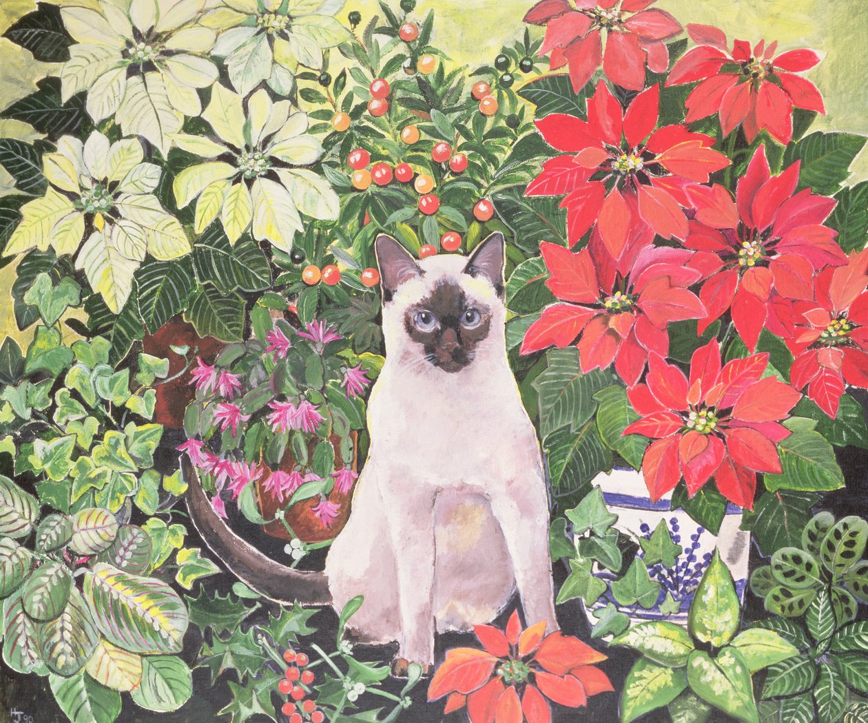 Poinsettias - Hilary Jones
