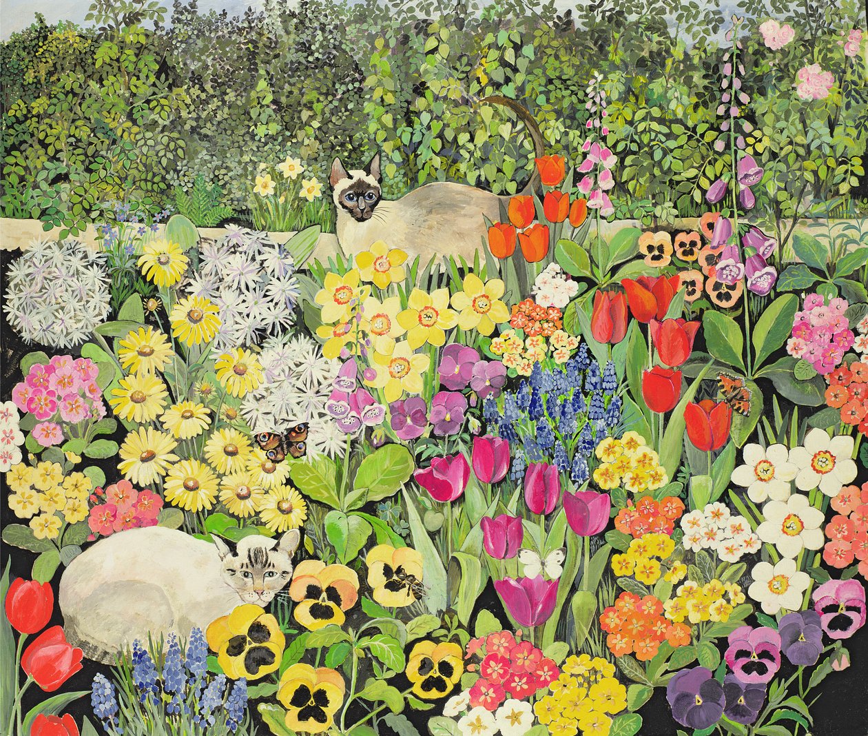 Chats de printemps - Hilary Jones