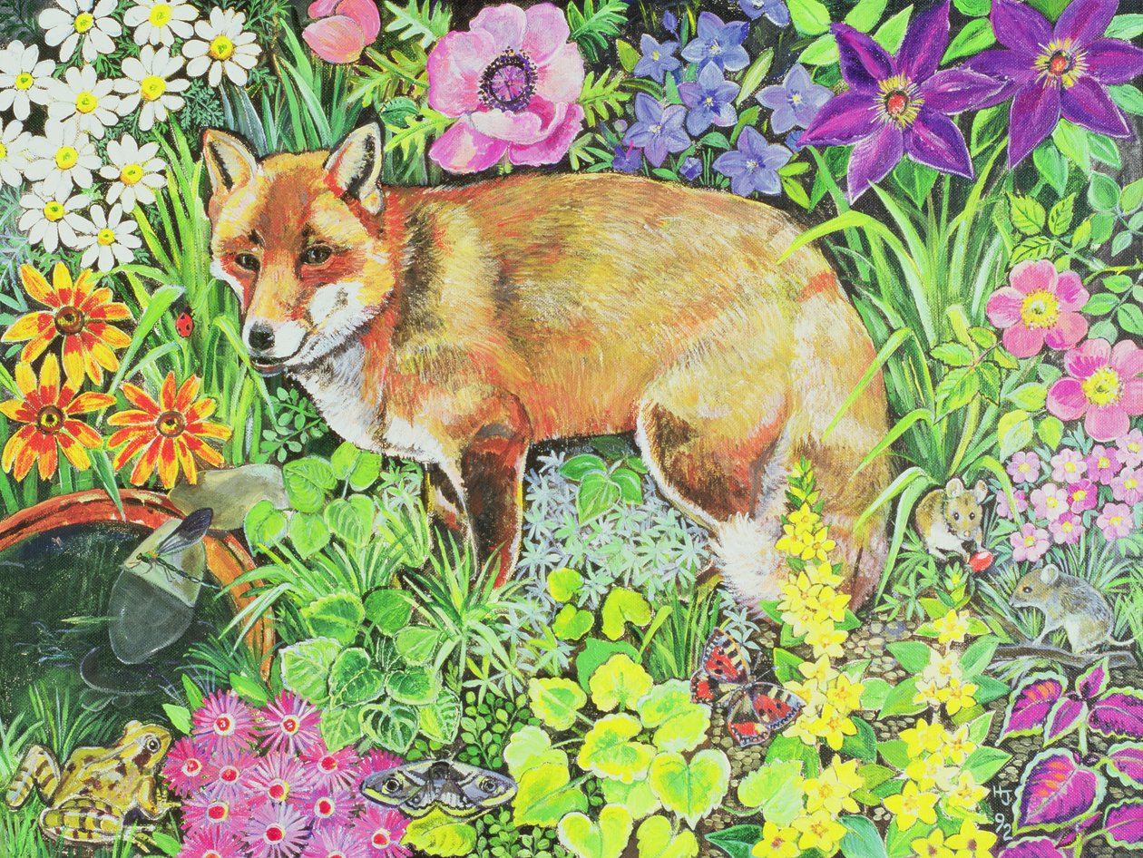Le renard de Barnet - Hilary Jones
