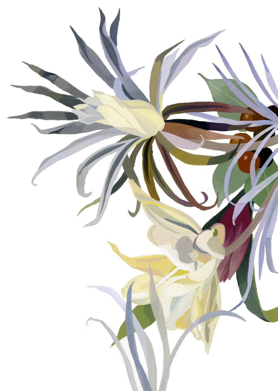 Fleurs élégantes, semblables à des barbes - Hiroyuki Izutsu