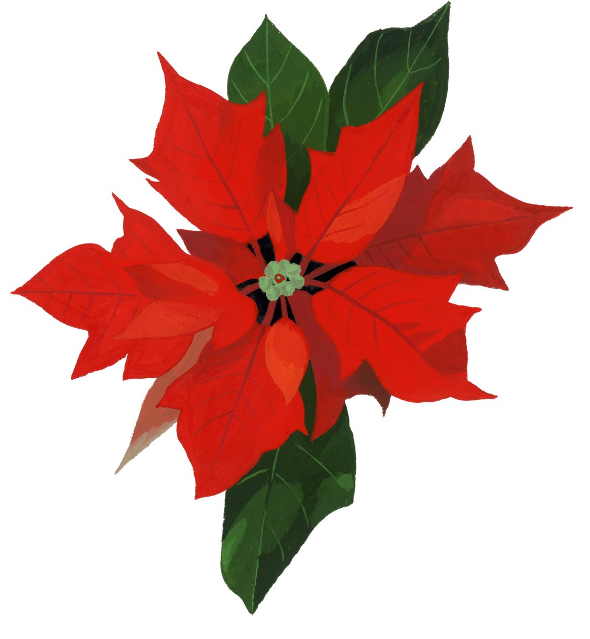 Poinsettia - Hiroyuki Izutsu