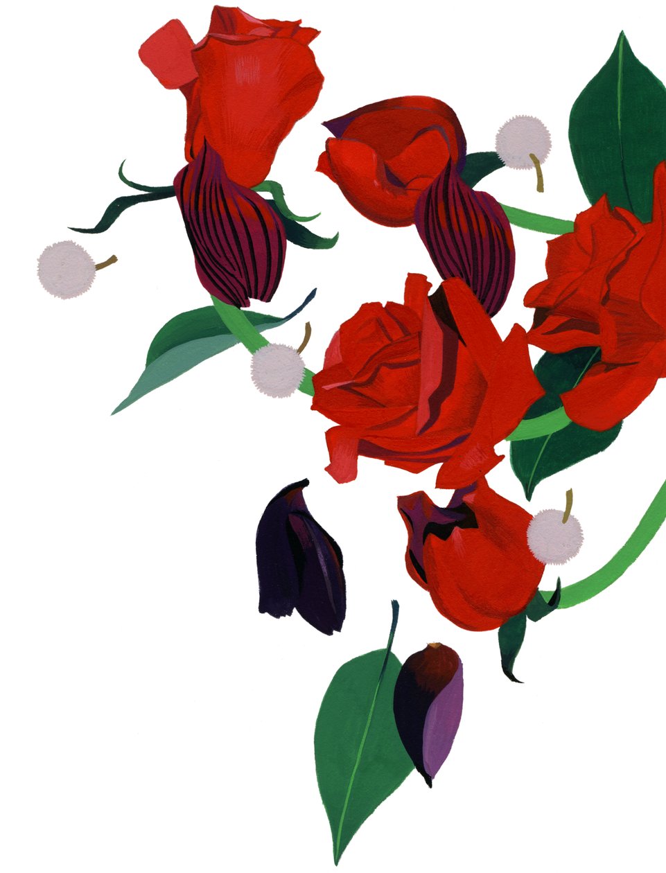 Rose rouge - Hiroyuki Izutsu