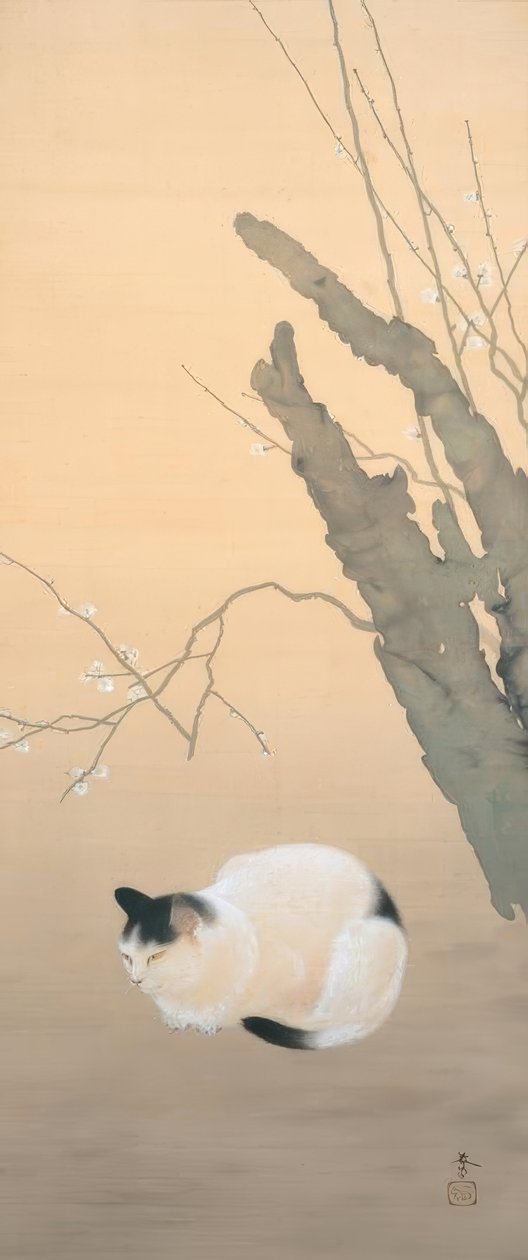 Chat et fleurs de prunier - Hishida shunso