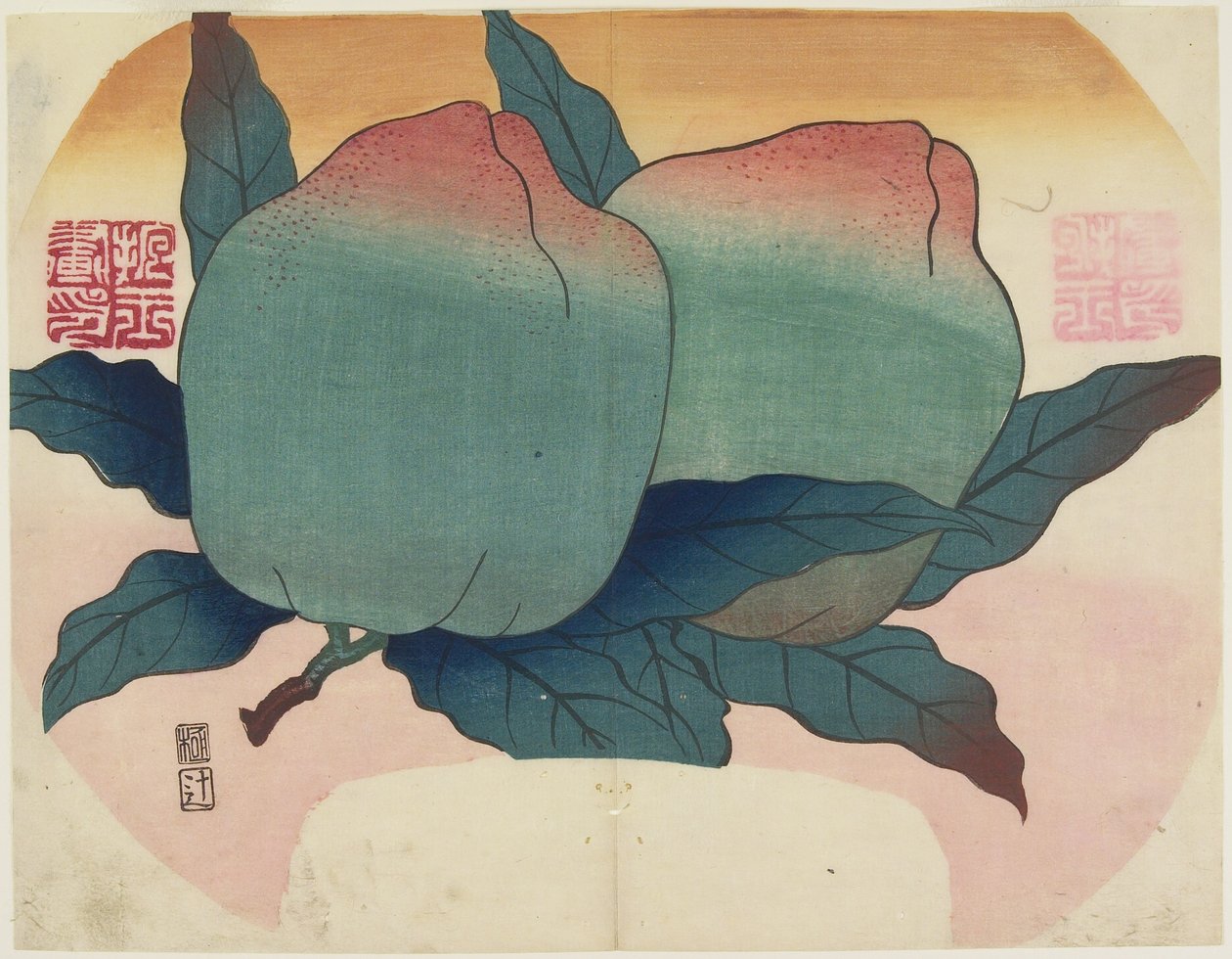 Fruit sur la vigne - Hogyoku