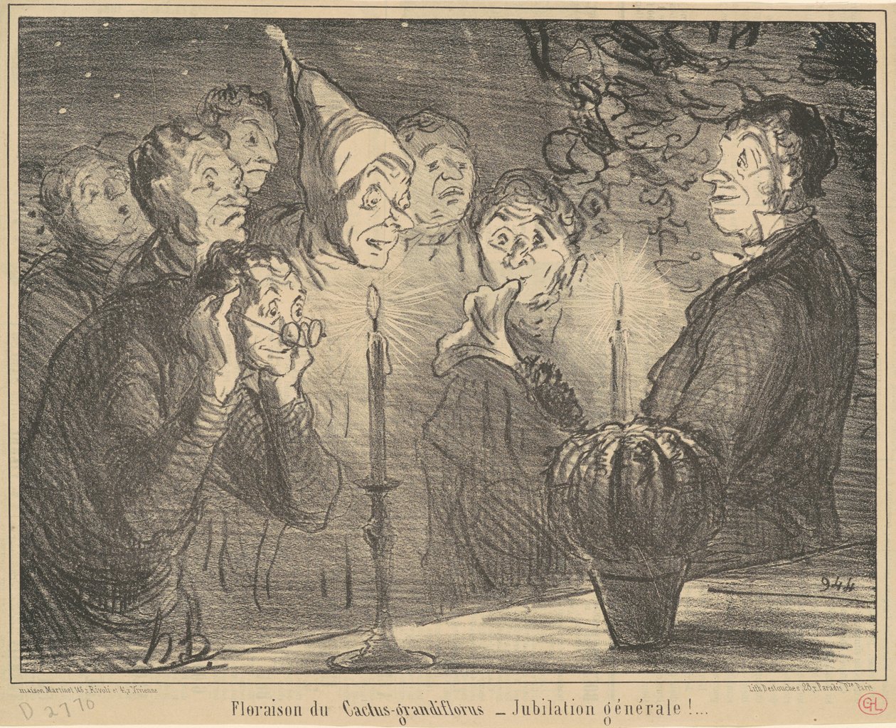 Floraison du Cactus-grandiflorus... - Honoré Daumier