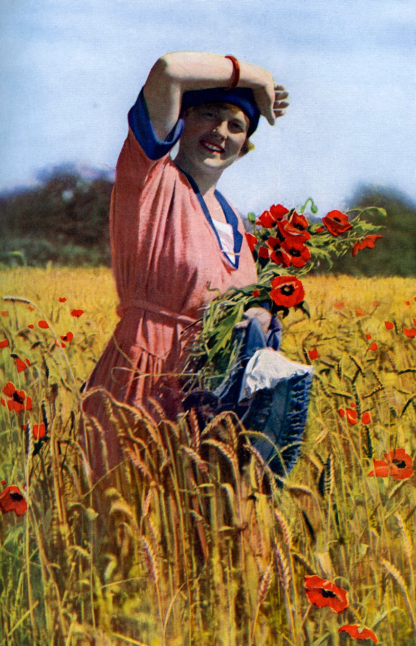 La Rose anglaise, c1922 - Horace Walter Nicholls