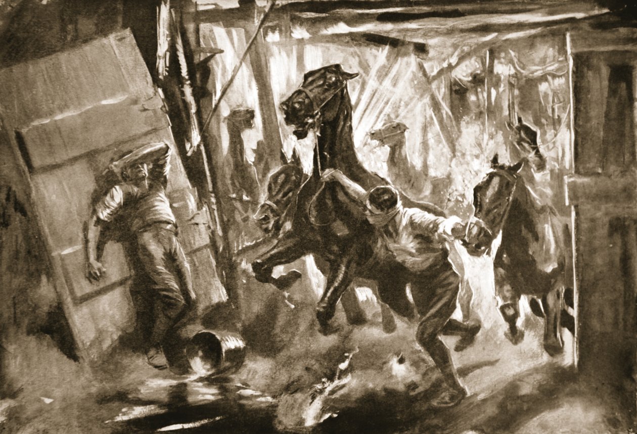 Maréchal-ferrant provisoire Cussens extrayant des chevaux des écuries où un obus avait éclaté - Howard K. Elcock