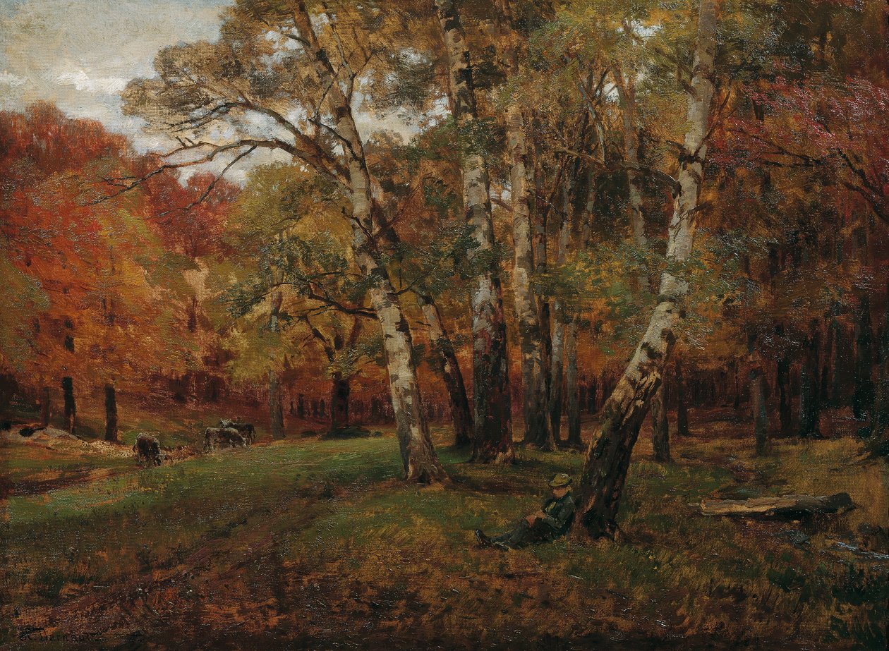 Paysage avec des bouleaux - Hugo Darnaut