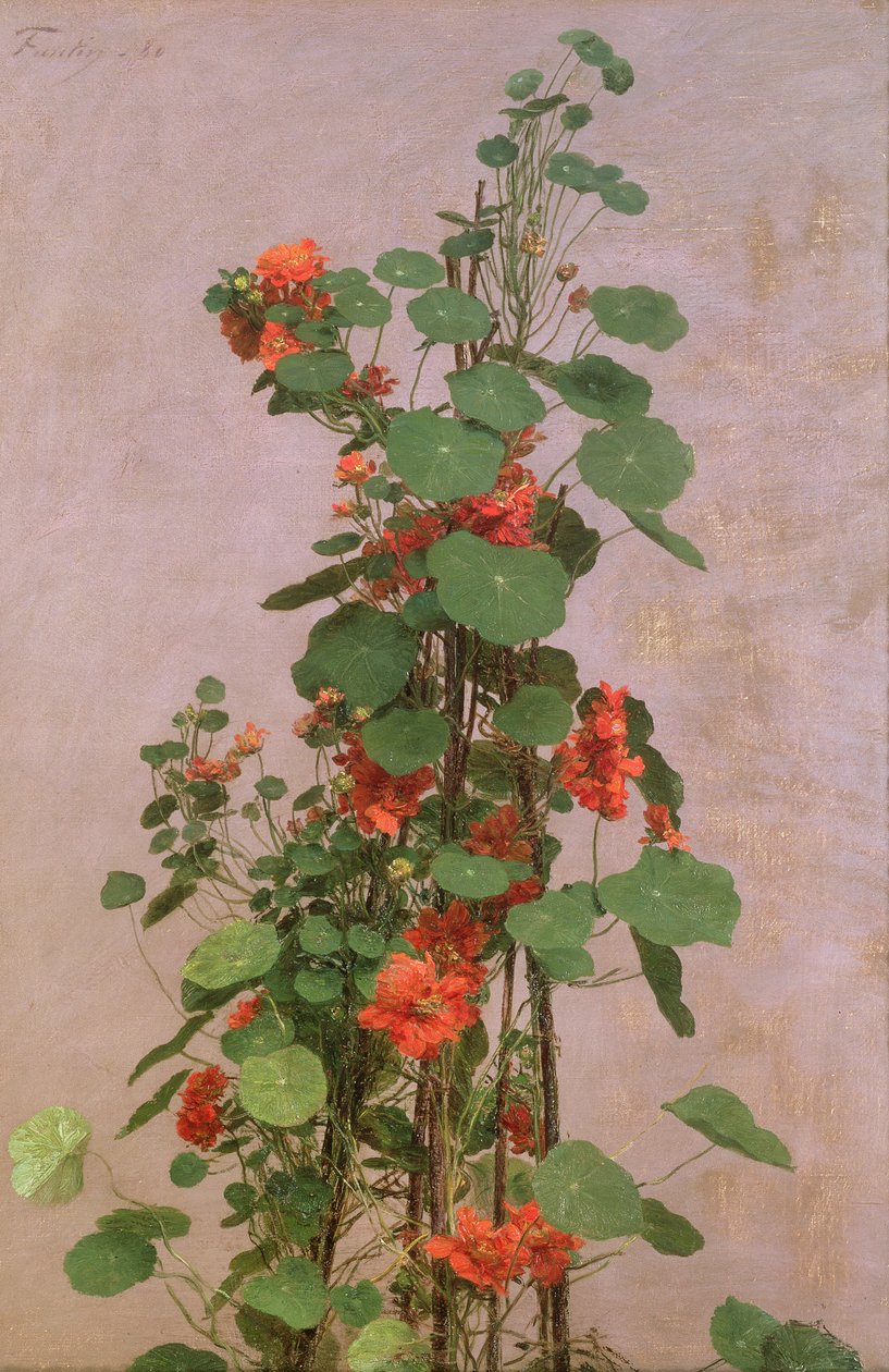 Capucines, 1880 - Ignace Henri Jean Fantin Latour